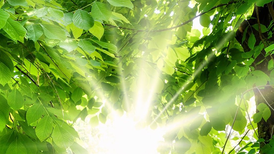 UNIFERM - Nachhaltigkeit