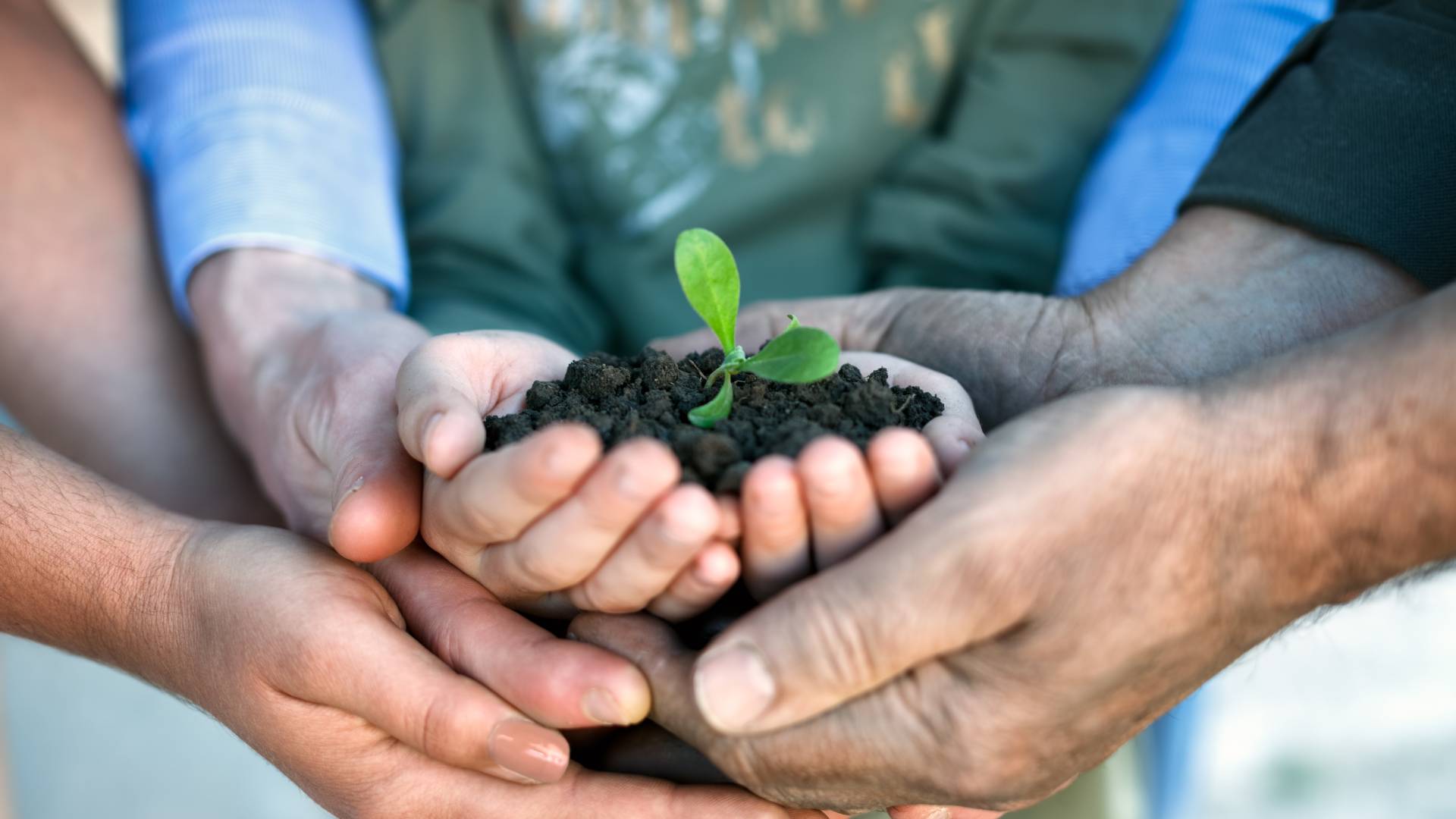 WISAG - Vision-Nachhaltigkeit